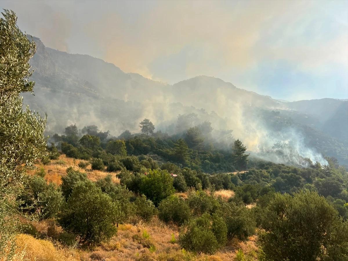 Kaş'ta orman yangını 2. gününde: Sarp arazide havadan ve karadan zorlu mücadele