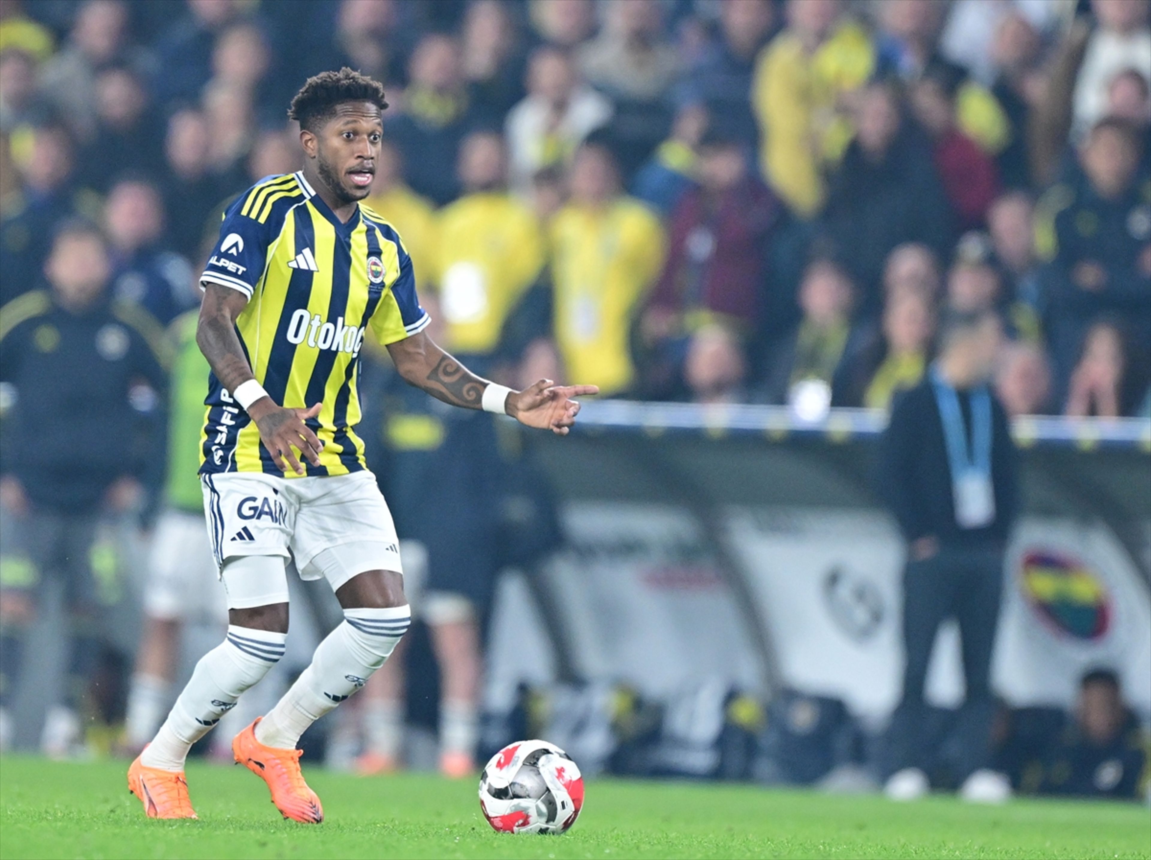 Fred'den dalya