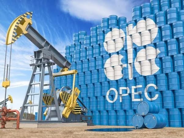 OPEC'in kararı petrol fiyatlarını düşürdü