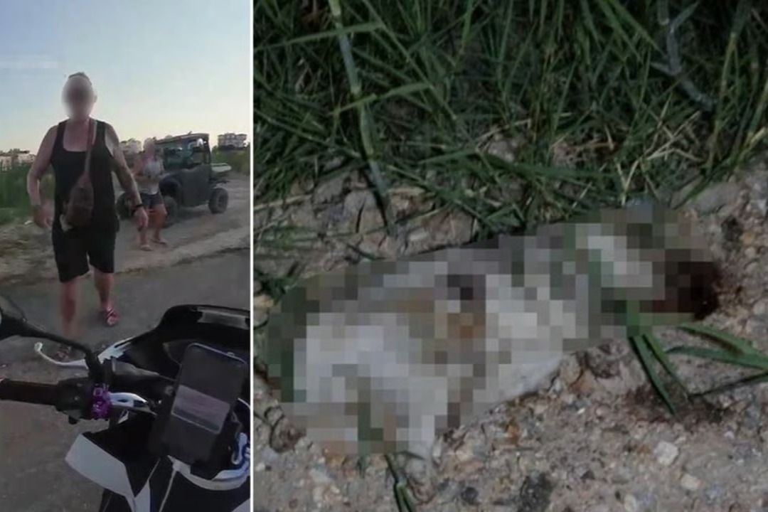 Köpeğin başını taşla ezen Alman turist sınır dışı edildi