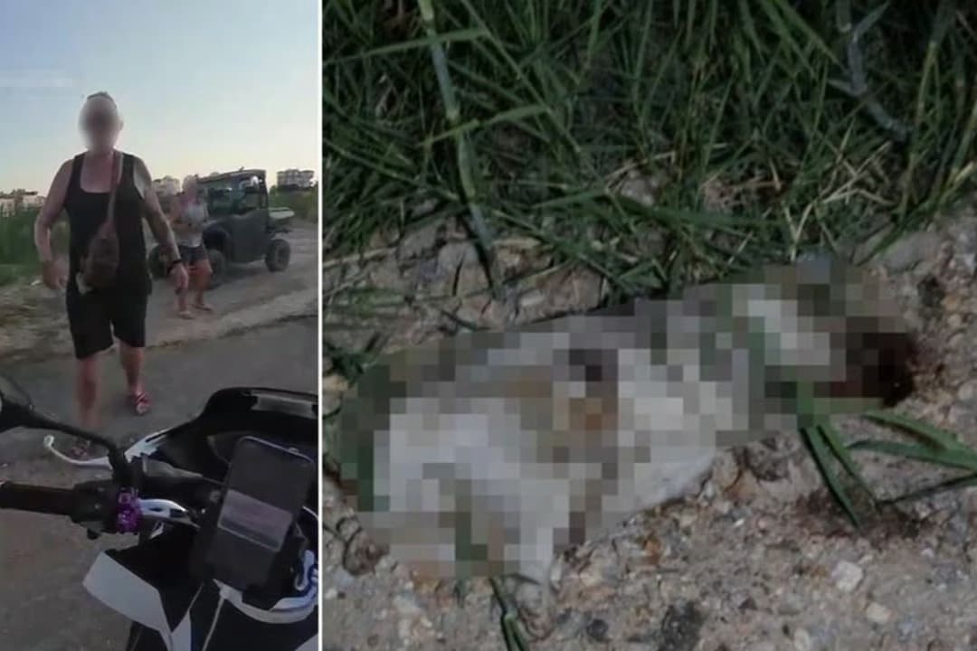 Görüntüler infial yaratmıştı! Çarptığı köpeğin başını taşla ezen Alman turist sınır dışı edildi