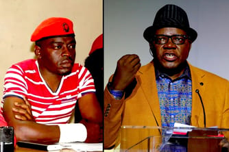 Zimbabwe Arrests Key Opponents of Constitutional Changes