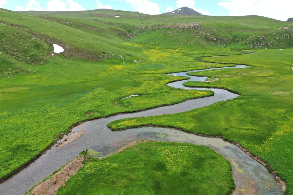 Ağrı'da ilkbahar güzelliği