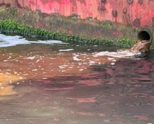 Marmara'yı kirleten tersaneye 3,7 milyon TL ceza