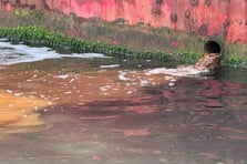 Marmara'yı kirleten tersaneye 3,7 milyon TL ceza