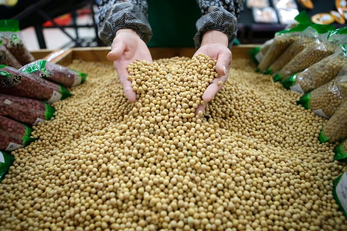 ABD-Çin ticaret savaşında yeni cephe: Soya fasulyesi