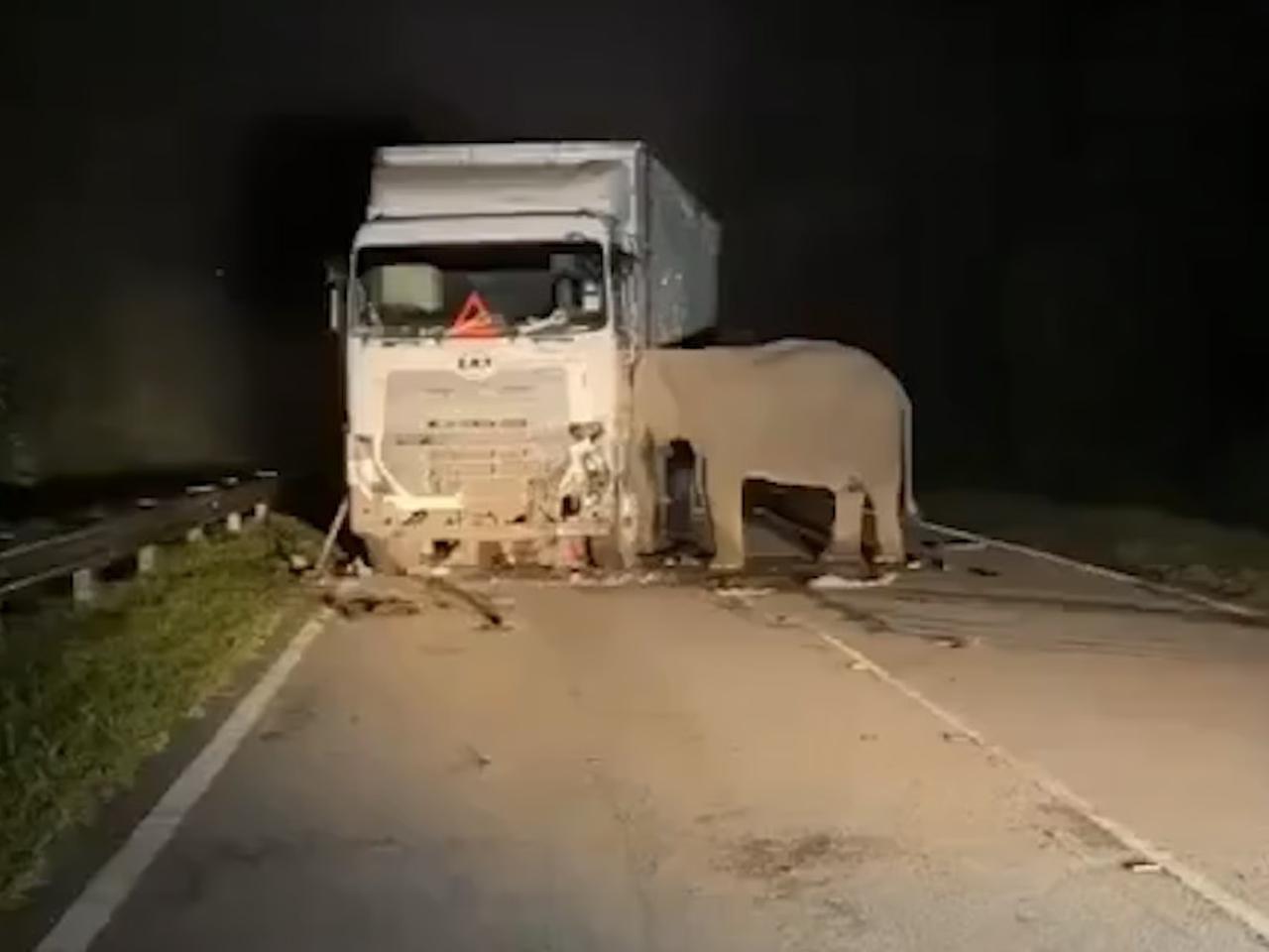 Anne filin acılı bekleyişi