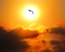 İngiltere, küresel ısınmayla mücadele için güneş ışığını engelleyecek