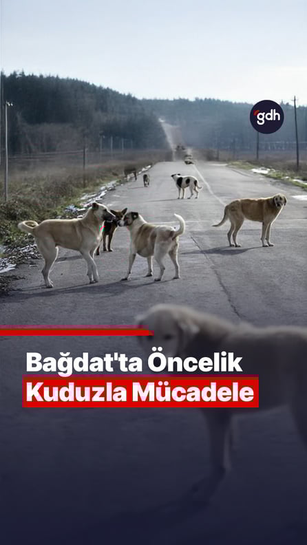 Bağdat'ın önceliği kuduzla mücadele
