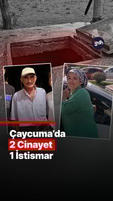 Çaycuma'da 2 cinayet 1 istismar