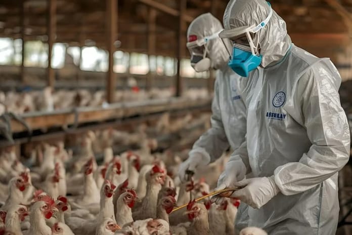 Almanya'da kuş gribi vakaları artmaya devam ediyor