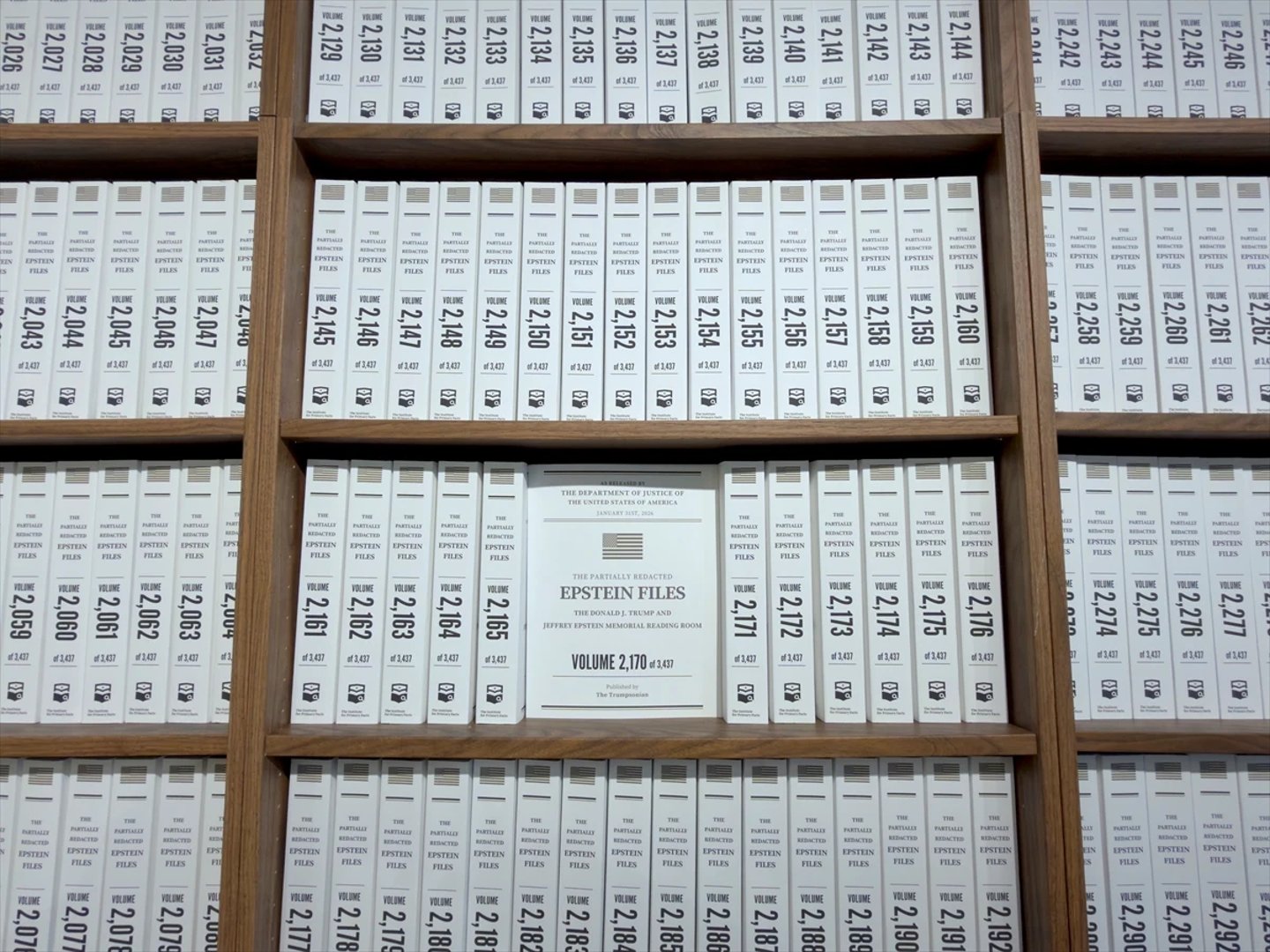 Jeffrey Epstein davası sergi oldu