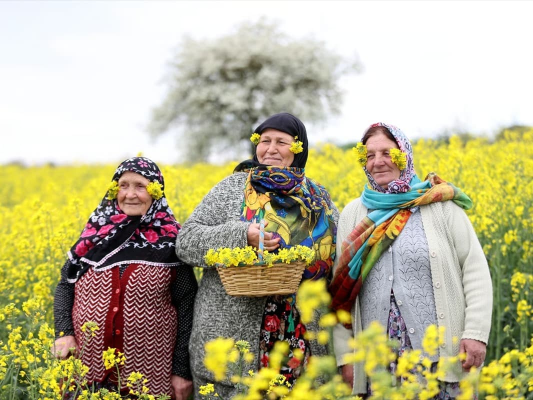 Trakya'da 'sarı selin' mevsimi