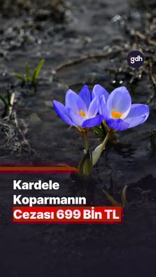 Kardelen koparmanın cezası 699 bin TL