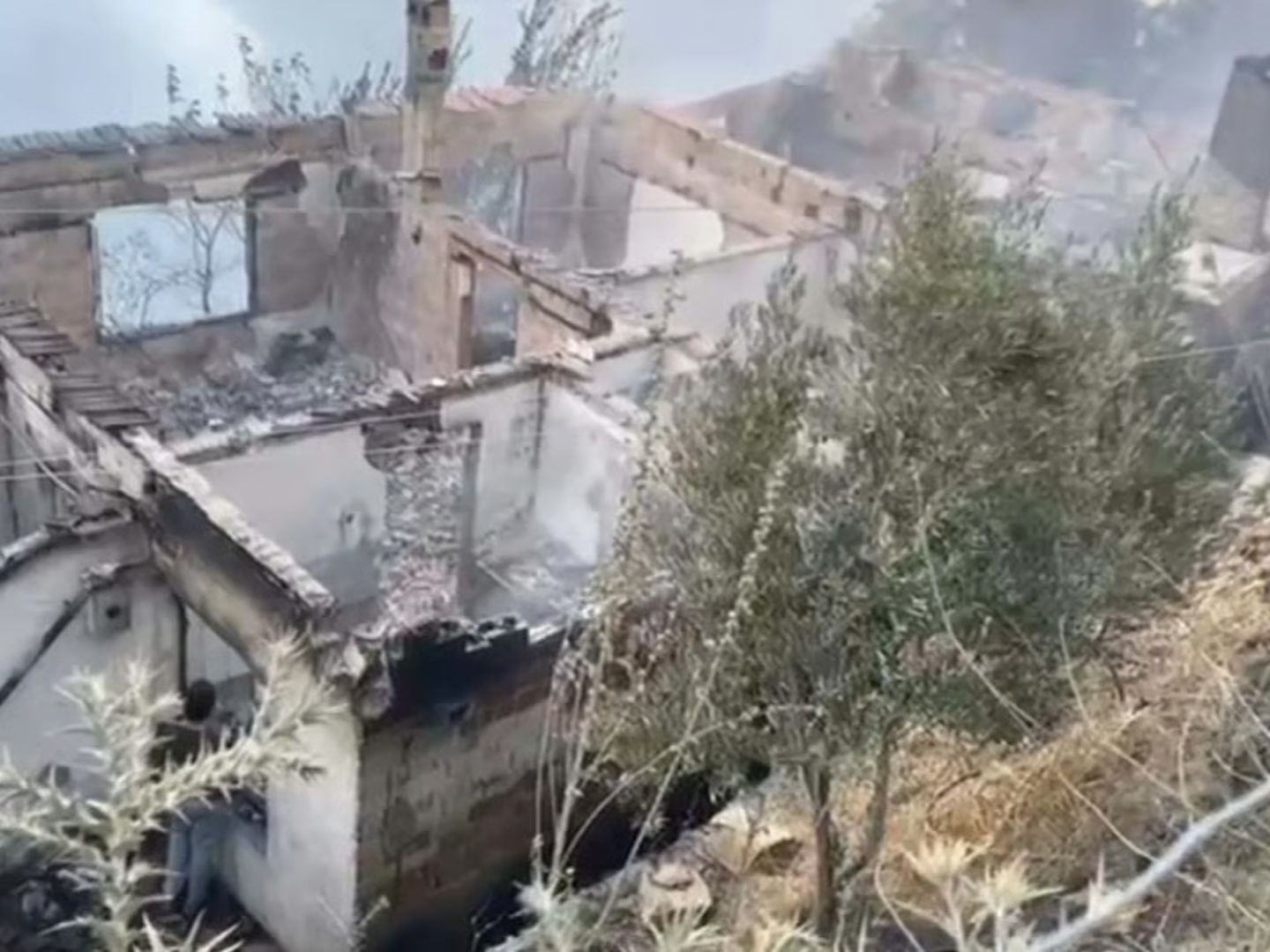İzmir Ödemiş'teki orman yangınında can kaybı