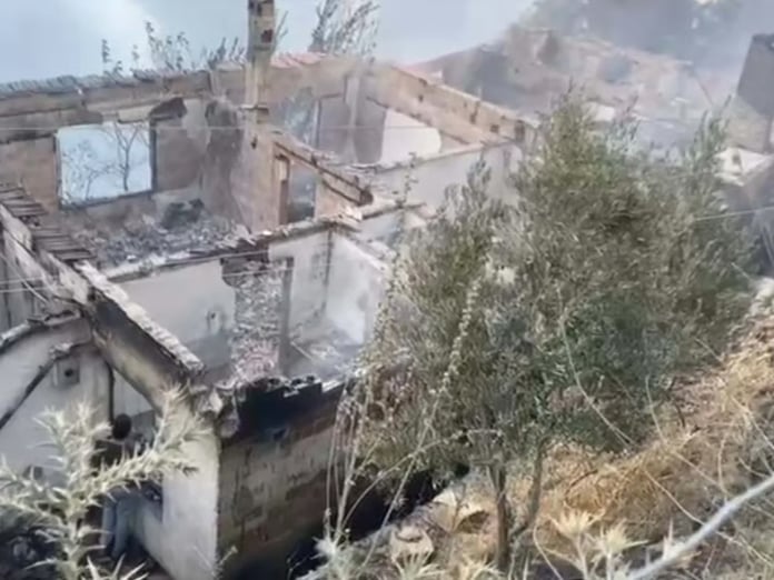 İzmir Ödemiş'teki orman yangınında can kaybı