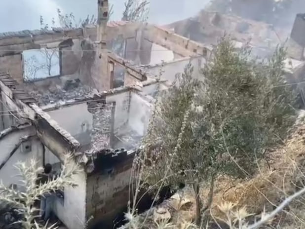 İzmir Ödemiş'teki orman yangınında can kaybı