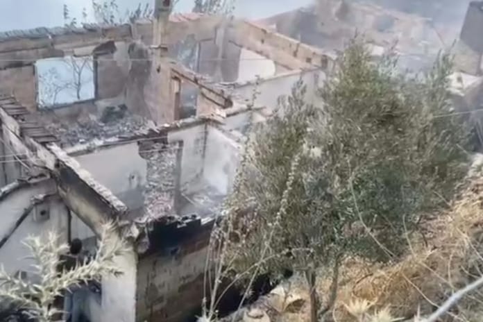 İzmir Ödemiş'teki orman yangınında can kaybı