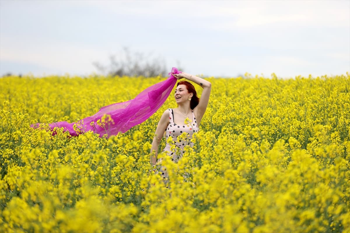 Trakya'da 'sarı selin' mevsimi: Fotoğraf tutkunları bölgeye akın etti 