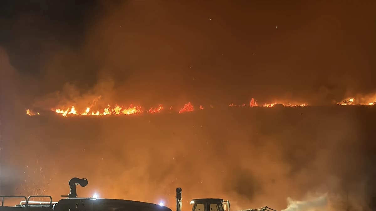 Bodrum'da makilik alanda yangın: Ekipler seferber oldu