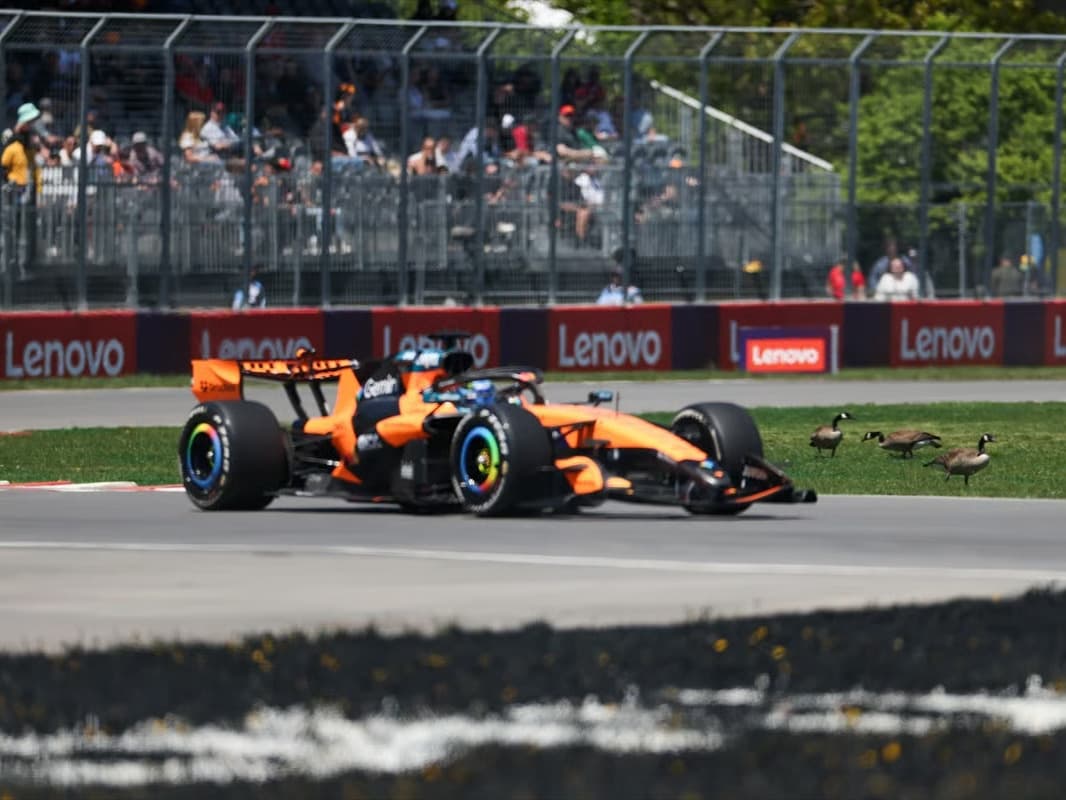 Formula 1'de sıradaki durak Kanada