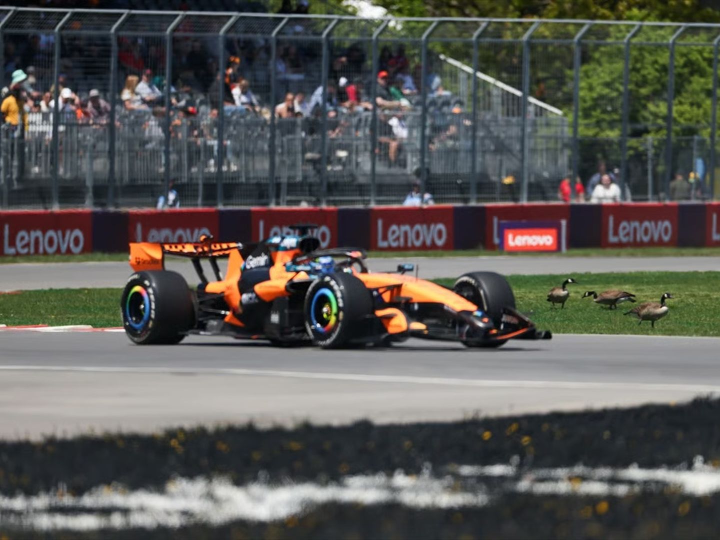 Formula 1'de sıradaki durak Kanada: Montreal'de büyük heyecan başlıyor