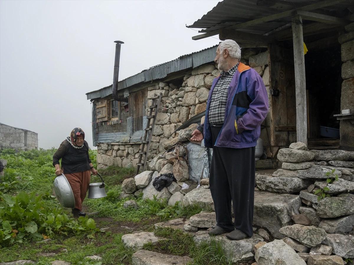 Denizden binlerce metre yükseklikte yaşam