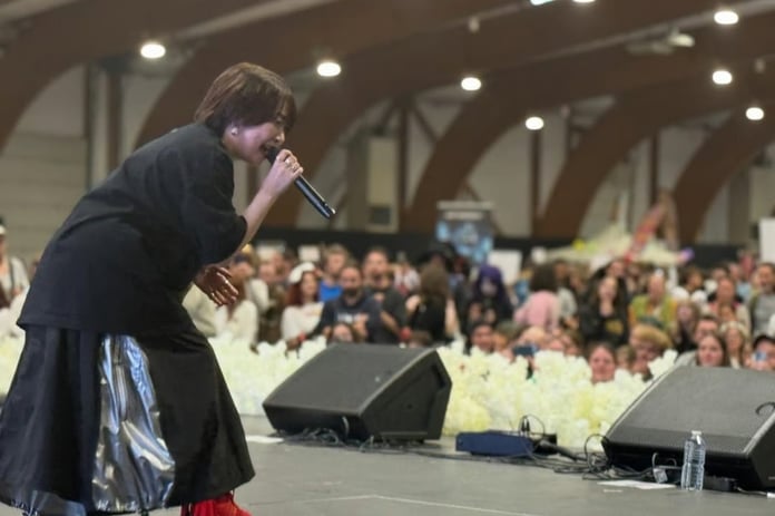 Japonya-Çin gerilimi üzerine One Piece'in konseri iptal edildi