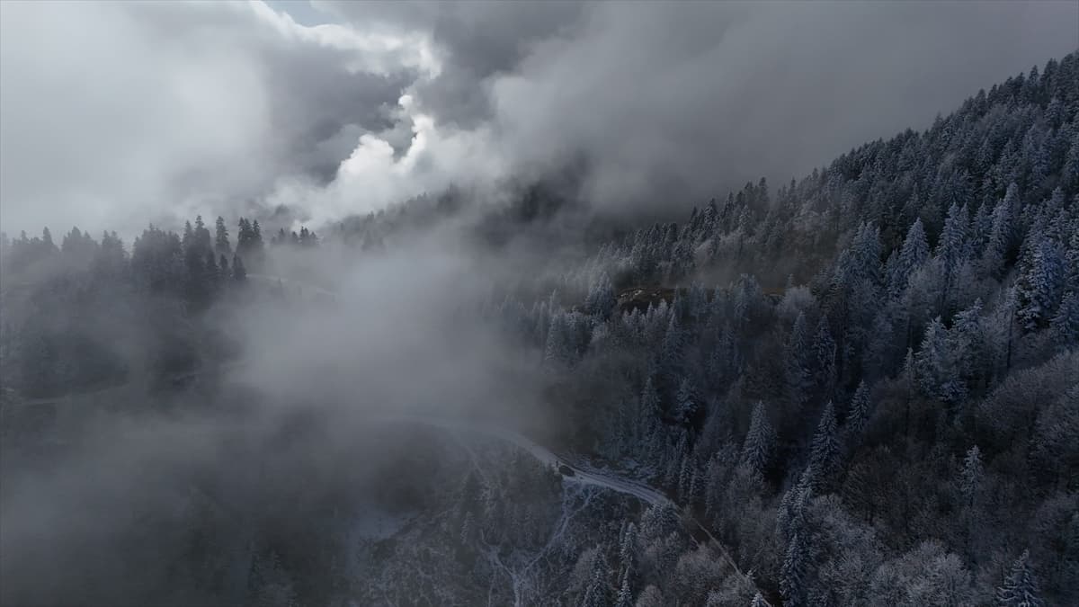 Yaylalarda beyaz örtü: Rize ve Artvin karla kaplandı 