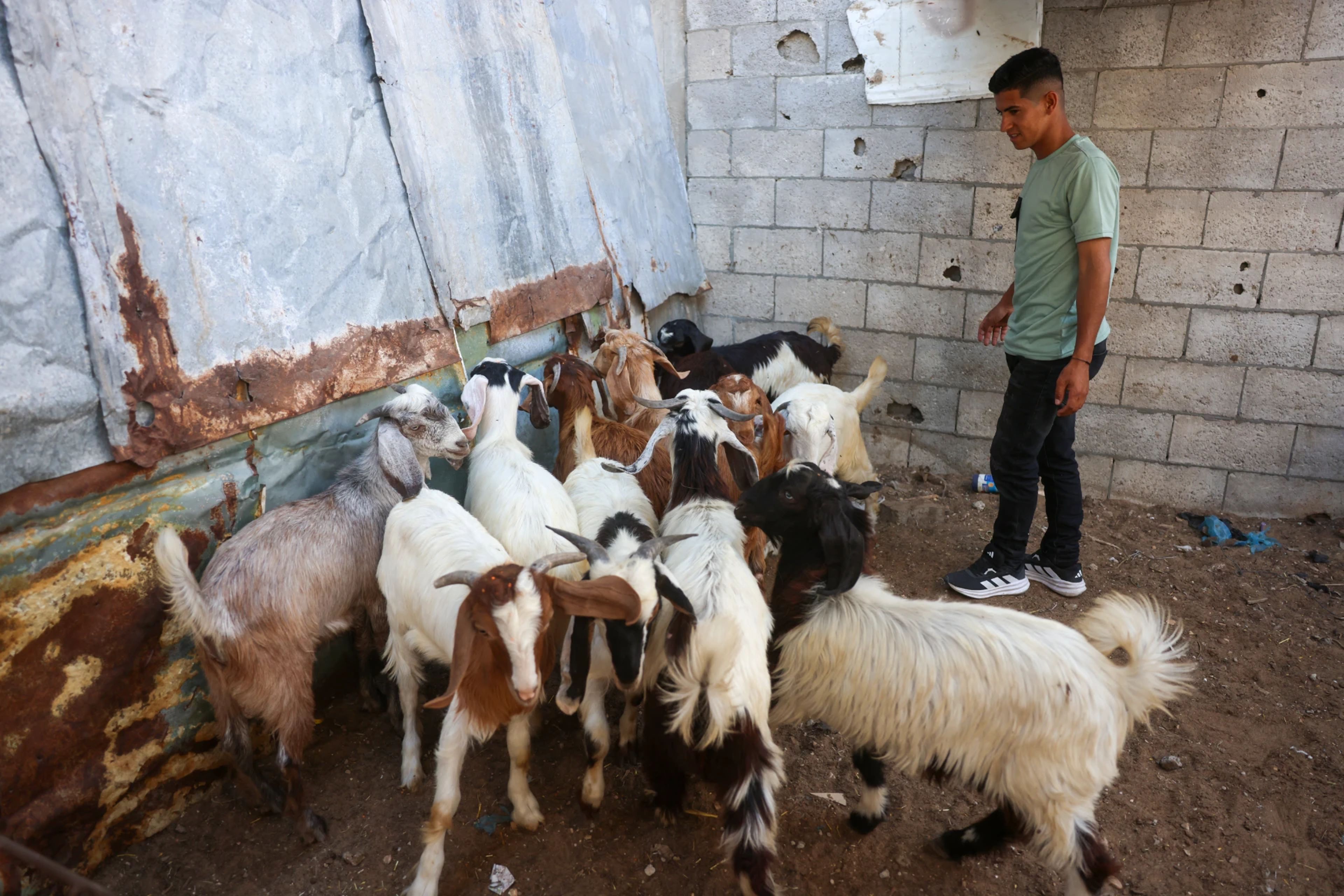 Galeri Fotoğrafı