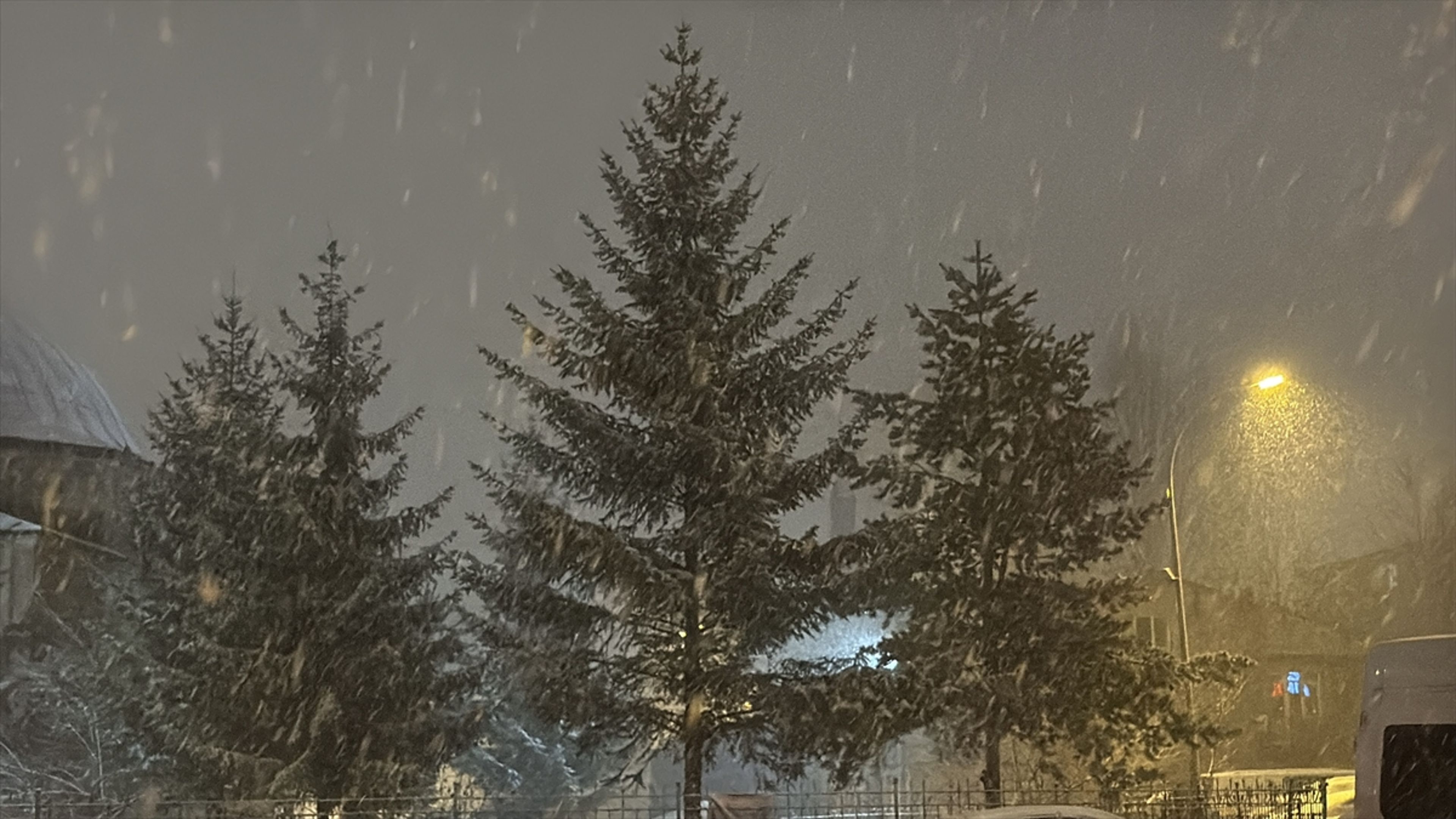 Galeri Fotoğrafı