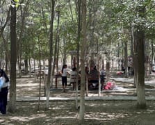 Kent ormanında kampanya: Çöpünü topla, giriş ve hizmet ücreti ödeme