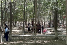 Kent ormanında kampanya: Çöpünü topla, giriş ve hizmet ücreti ödeme