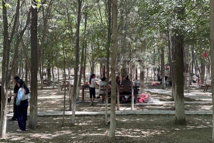 Kent ormanında kampanya: Çöpünü topla, giriş ve hizmet ücreti ödeme