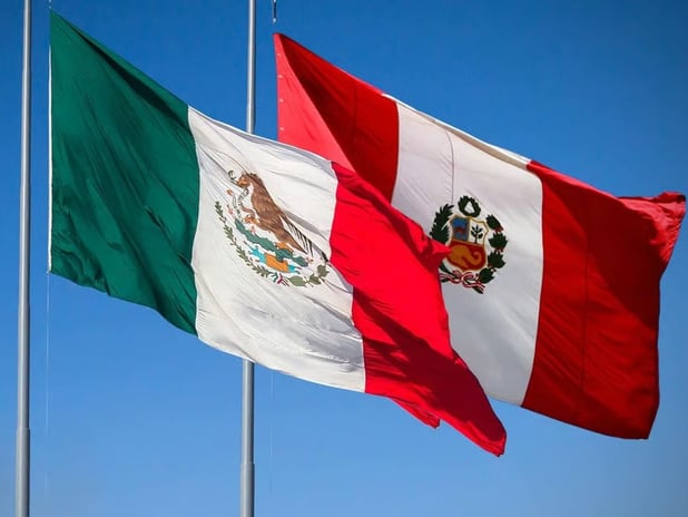 Peru Chavez’e sığınma hakkı veren Meksika ile diplomatik ilişkilerini kesti