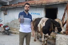 Kurbanlık tosunları almak isterken 200 bin TL dolandırıldı