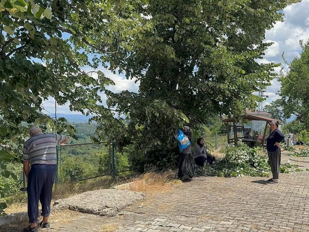 Hasat süresi sadece 10 gün sürüyor! Kilosu 3 bin TL'yi buldu
