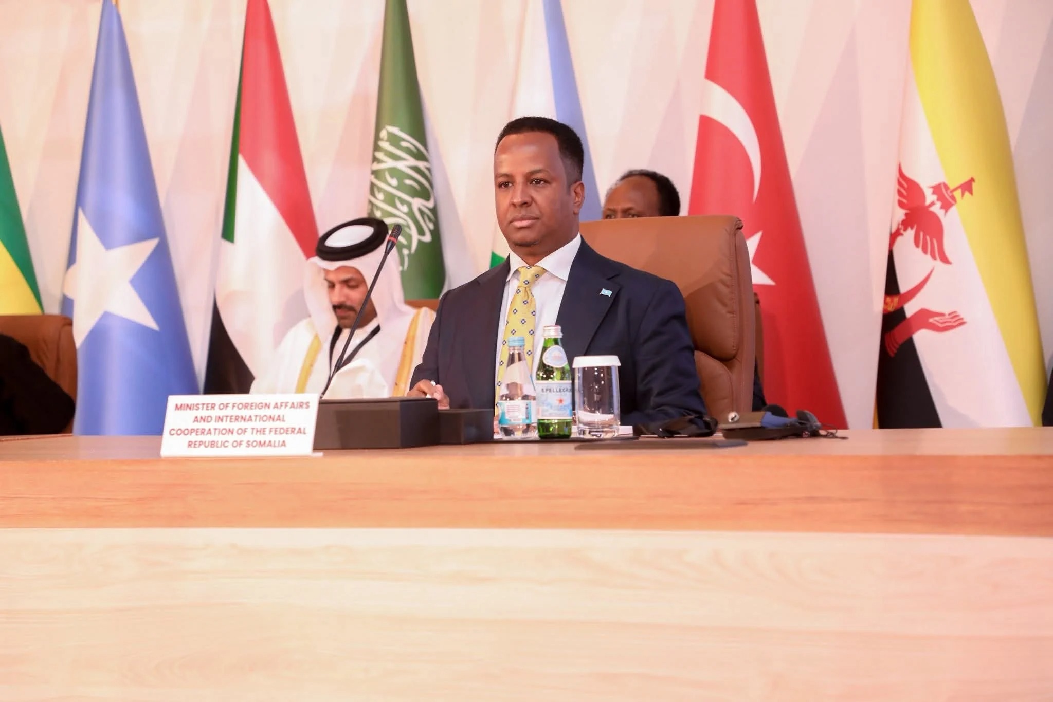 Somali FM Calls For Stronger OIC Backing At Doha Meeting