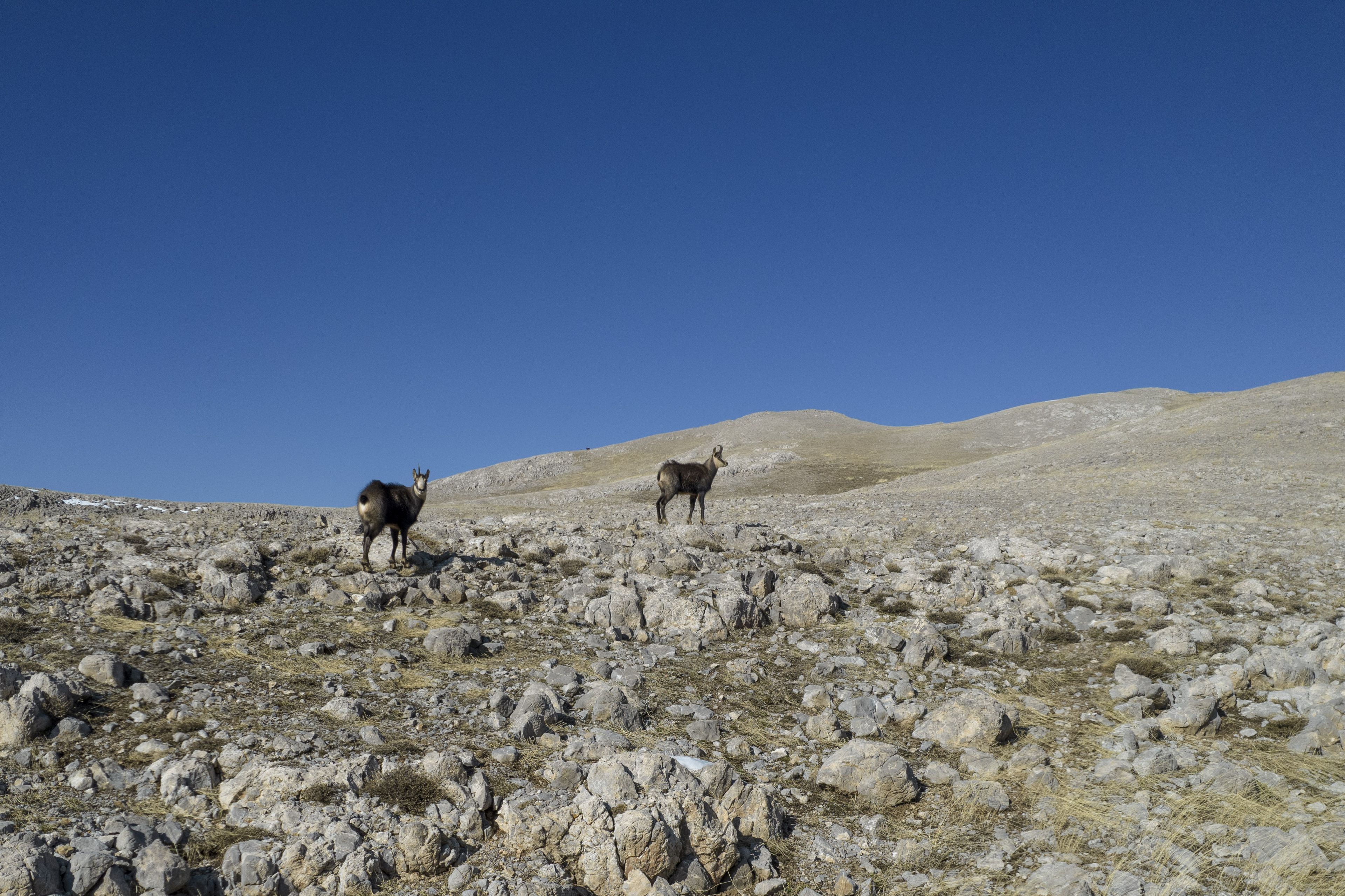 Galeri Fotoğrafı