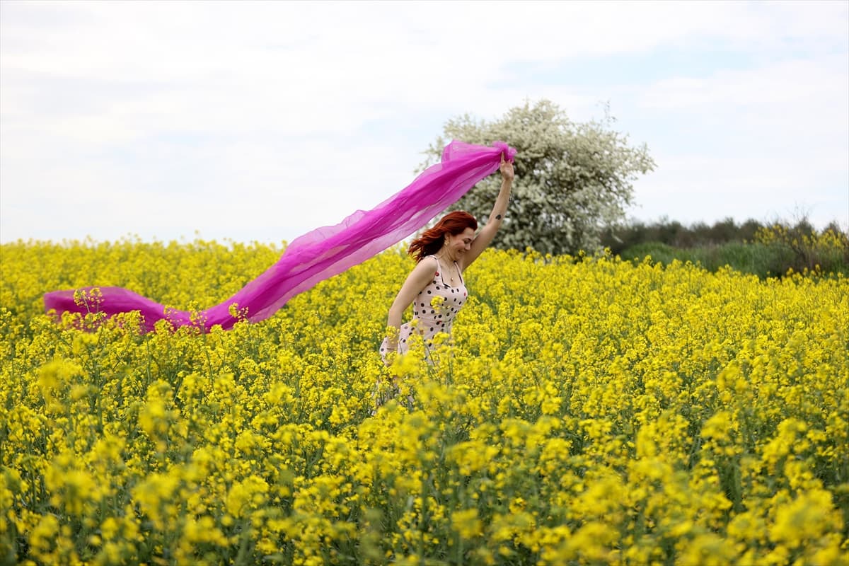 Trakya'da 'sarı selin' mevsimi: Fotoğraf tutkunları bölgeye akın etti 