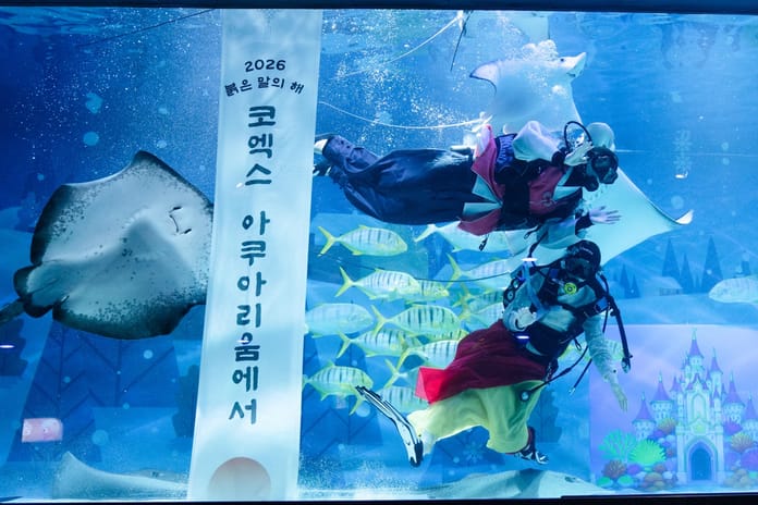 Yeni yılın sembolü: Ejderha ve dilekler