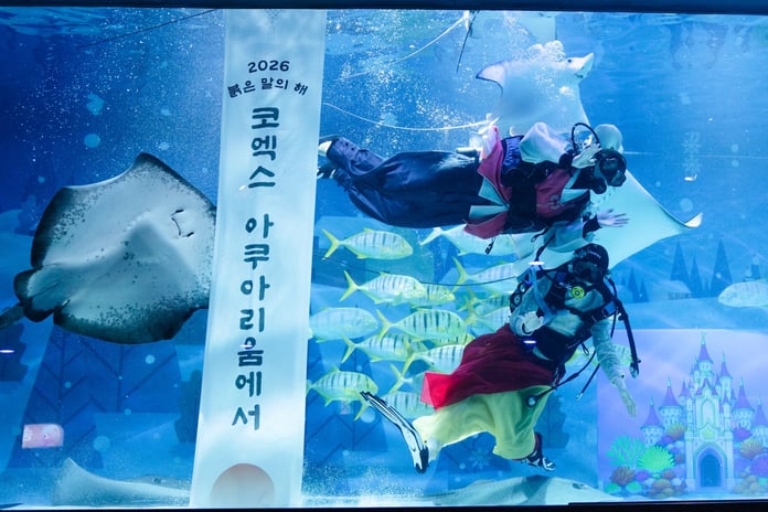 Yeni yılın sembolü: Ejderha ve dilekler