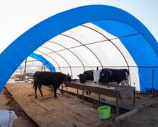 Tarım ve Orman Bakanlığı'ndan yapay et iddialarına yalanlama