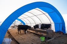 Tarım ve Orman Bakanlığı'ndan yapay et iddialarına yalanlama