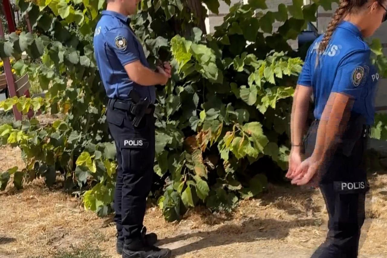 Bacakları kesilmiş kedi bulundu