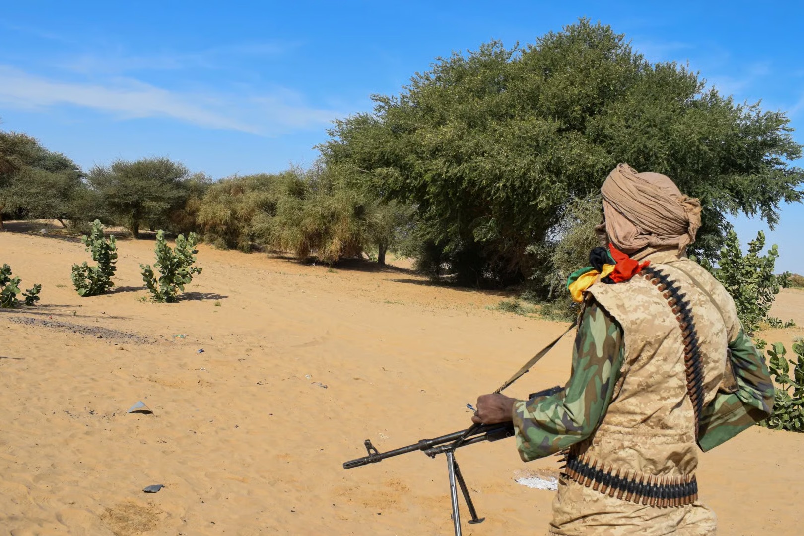 Multiple Nations Urge Evacuation from Mali