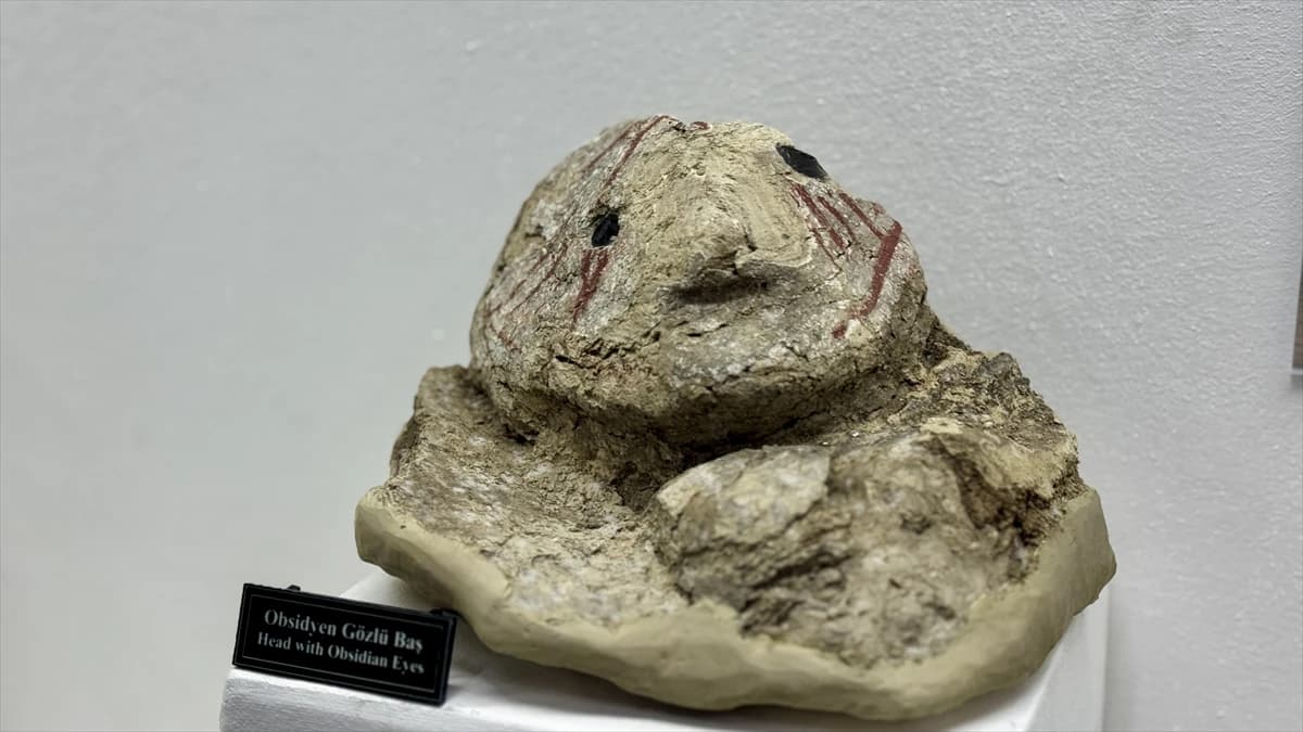 8 bin yıllık sırlar gün yüzünde: Çatalhöyük’ün "Saklı Mirası" Konya’da sergileniyor