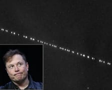 Elon Musk neden özür diledi?