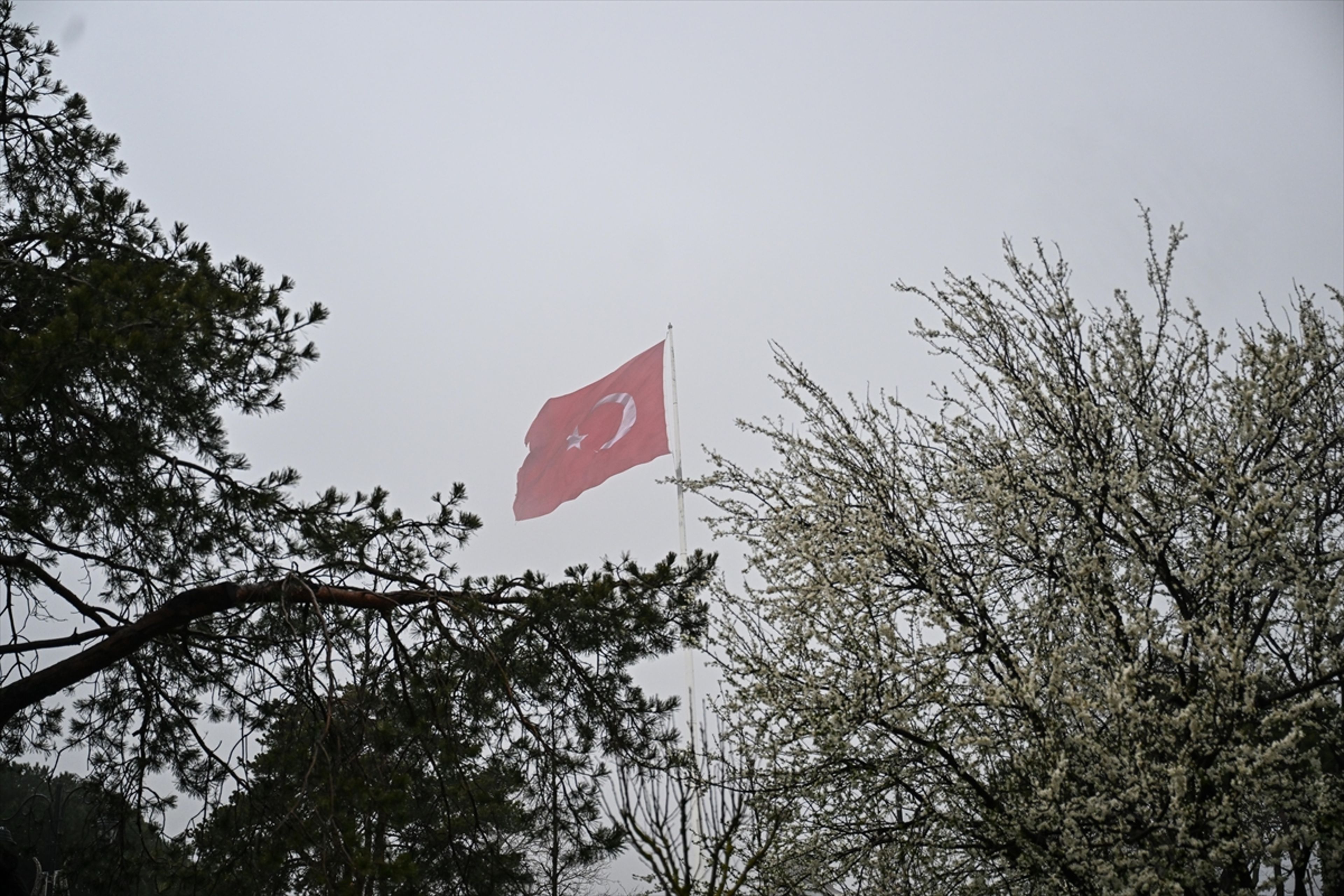 Galeri Fotoğrafı