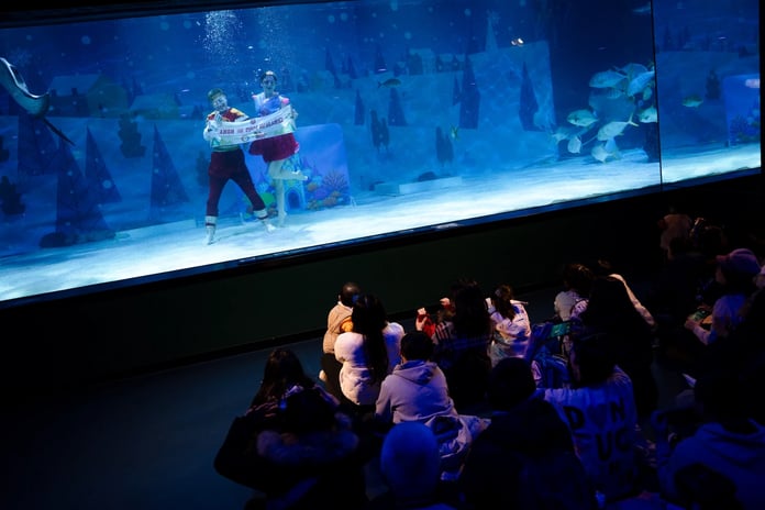 Seollal ruhu akvaryumun derinliklerinde